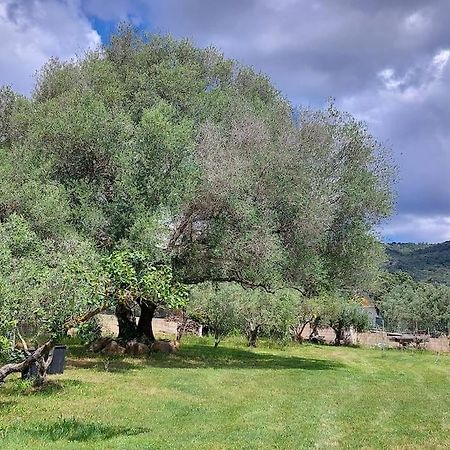 Olbia Grazioso Bilo In Periferia Βίλα Sole Ruiu Εξωτερικό φωτογραφία