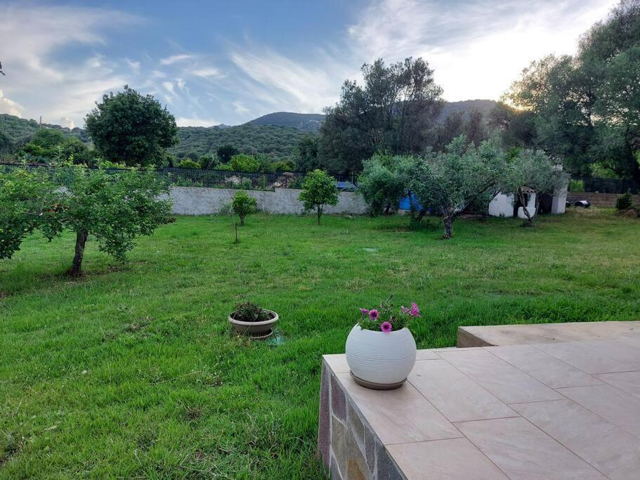 Olbia Grazioso Bilo In Periferia Βίλα Sole Ruiu Εξωτερικό φωτογραφία