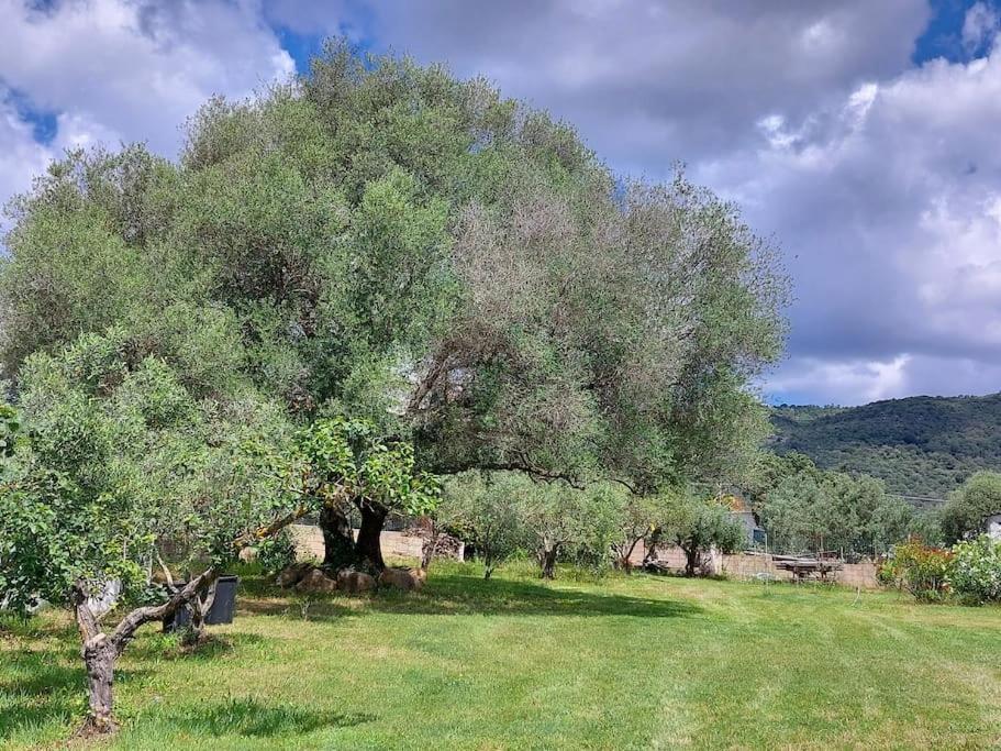 Olbia Grazioso Bilo In Periferia Βίλα Sole Ruiu Εξωτερικό φωτογραφία